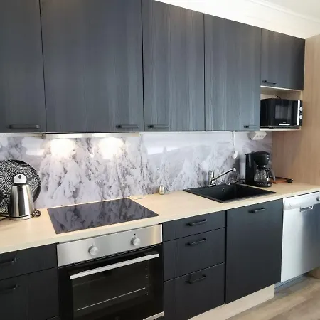 Metsaen Ukko Feriehus Syöte